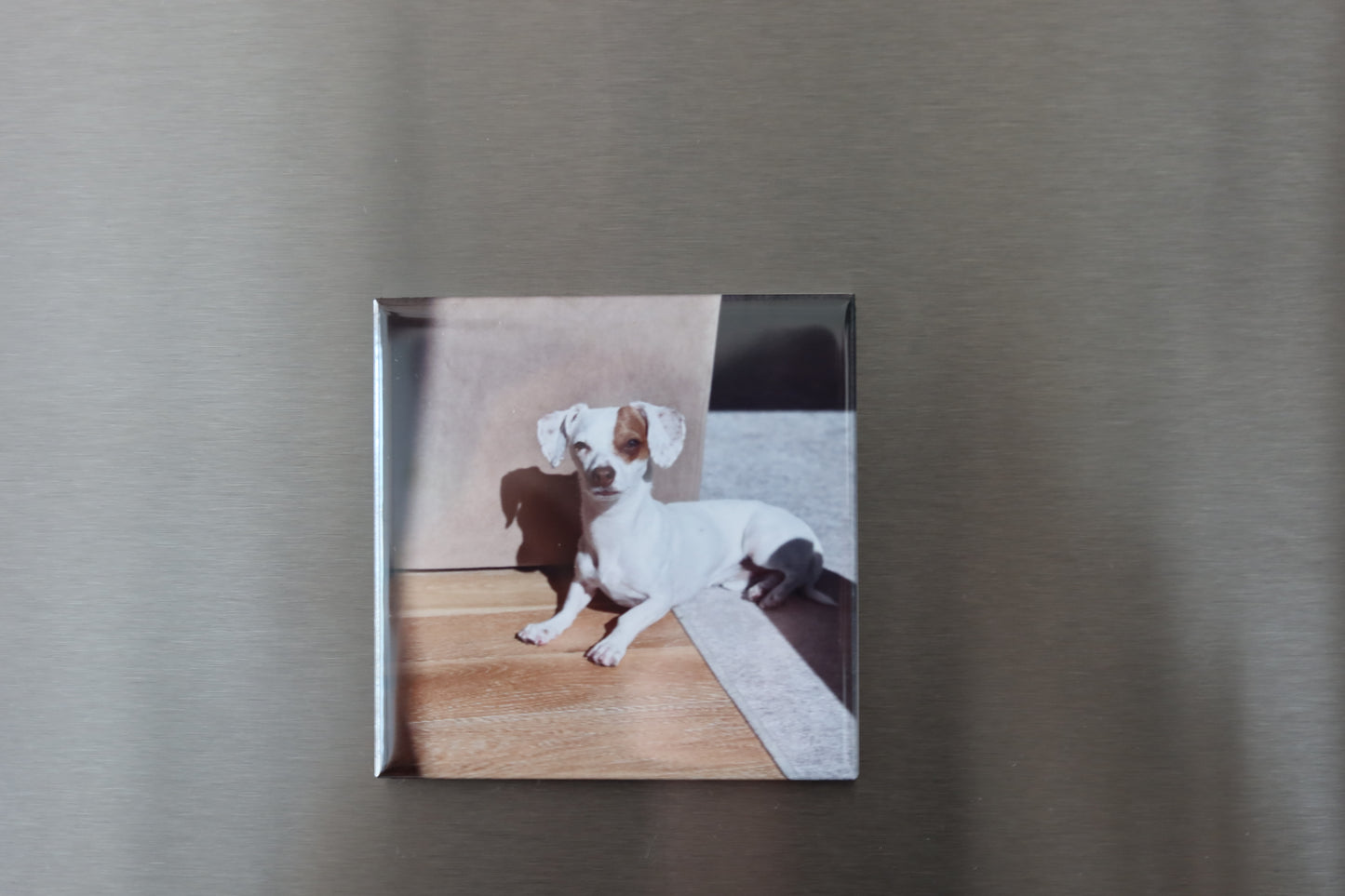 10 Custom Photo Magnets - Family Set